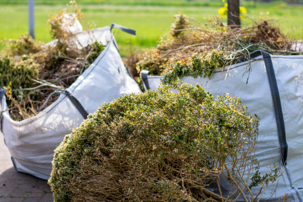 Best Garage Cleanout Services  in Lyons, IL